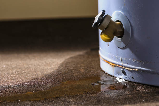 Best Water damage restoration experts  in Wolf Creek, UT