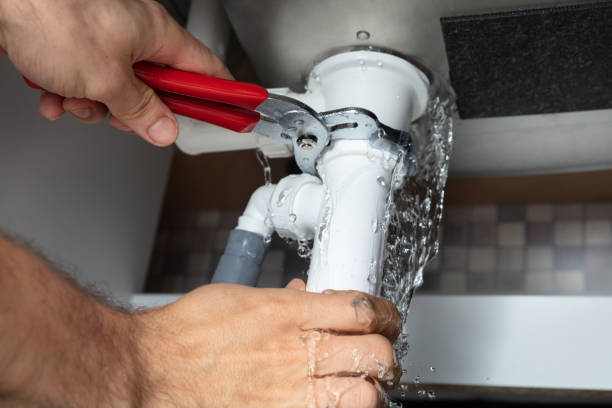 Best Professional water damage repair  in Wolf Creek, UT