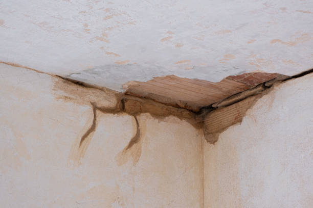Best Flooded house restoration  in Wolf Creek, UT