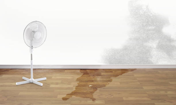  Wolf Creek, UT Water damage restoration Pros