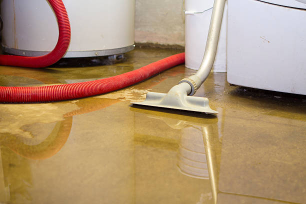 Best Flood restoration services  in Wolf Creek, UT