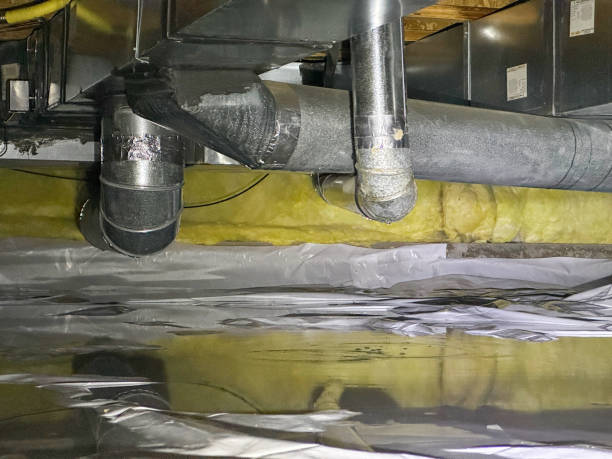 Best Local water damage restoration  in Wolf Creek, UT