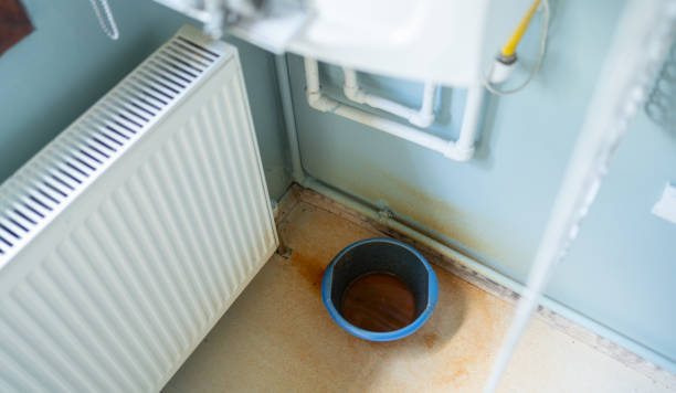 Best Water damage cleanup near me  in Wolf Creek, UT