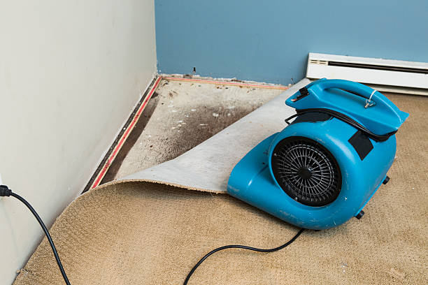 Best Residential water damage restoration  in Wolf Creek, UT