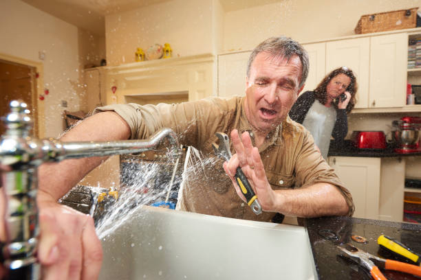 Best Water damage restoration process  in Wolf Creek, UT